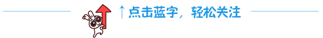 兔子紅箭頭引導(dǎo)關(guān)注