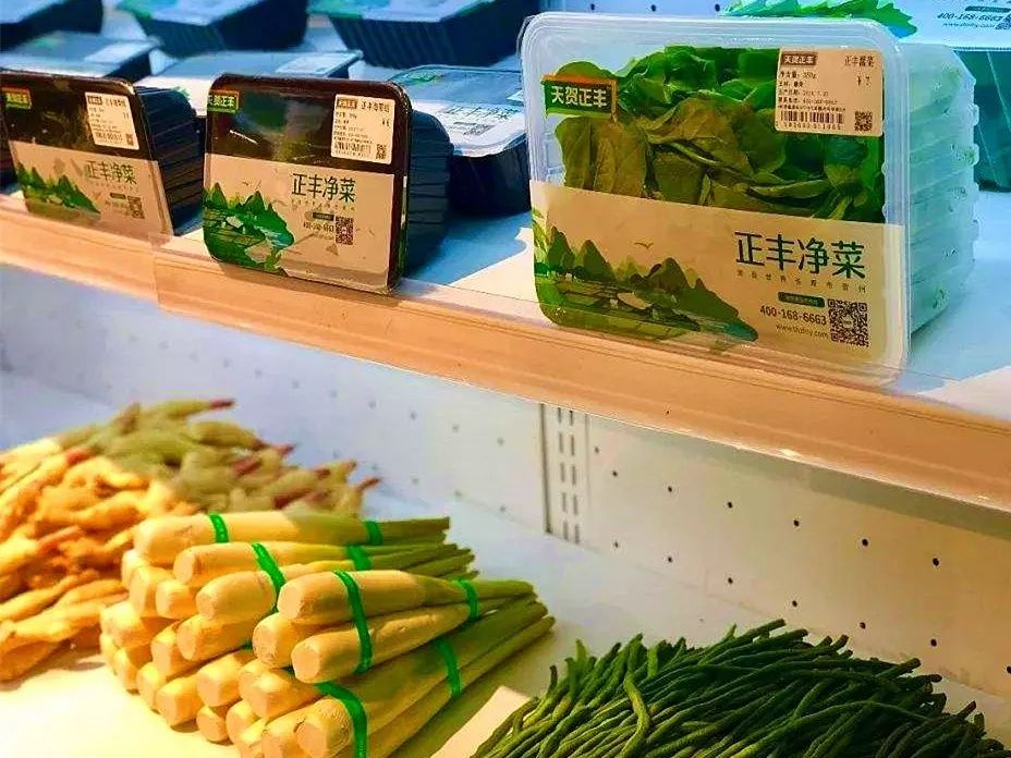 timg_副本.jpg